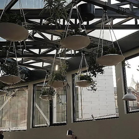 酒店 贝特洛酒店 4*