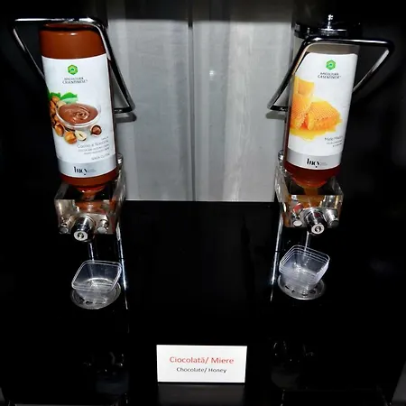 贝特洛酒店 4* 布加勒斯特